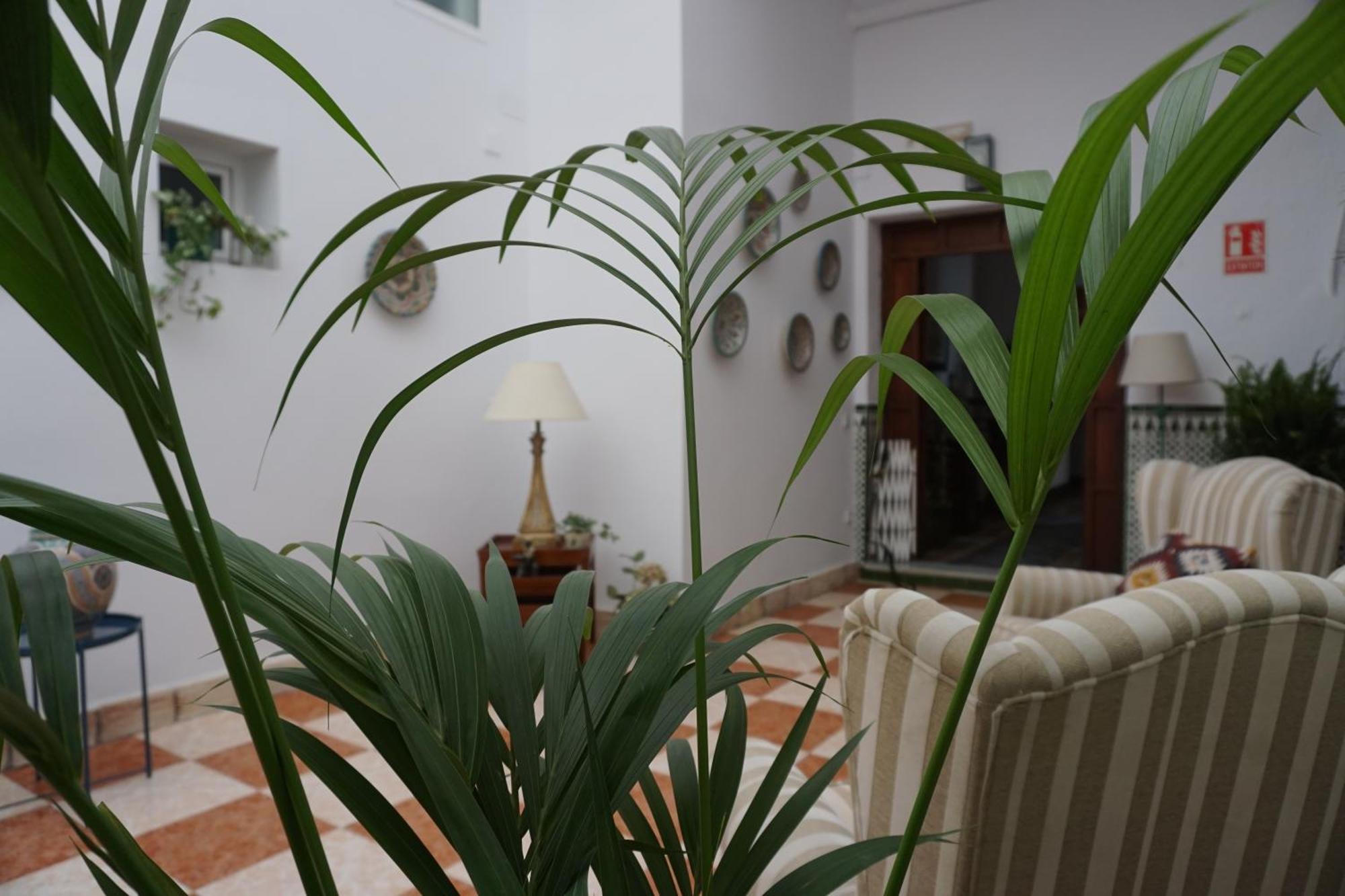 Montserrat Casa Del Mar Chipiona Bagian luar foto